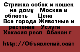 Стрижка собак и кошек на дому.  Москва и область.  › Цена ­ 1 200 - Все города Животные и растения » Услуги   . Хакасия респ.,Абакан г.